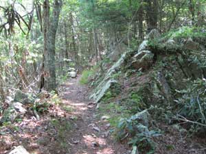 Appalachian Trail near Watauga Lake